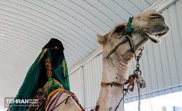 پیاده‌روی زائرین اربعین حسینی در مسیر نجف به کربلا 10