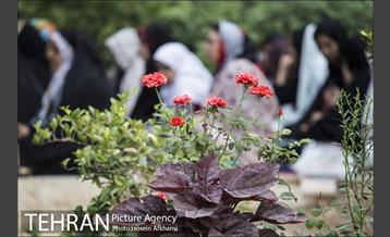 نماز عید فطر در امام زاده ابوالحسن(ع) 2