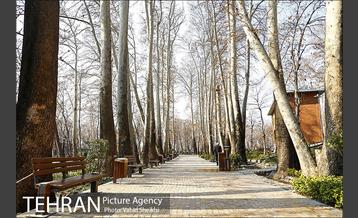 باغ ایرانی 2