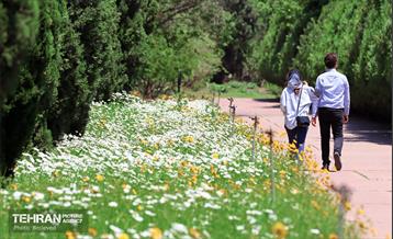 طبیعت بهاری در باغ ملی گیاهشناسی ایران 23