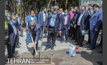 آئین بهره برداری از پروژه های مدیریت شهری منطقه ۲۲