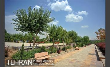 بوستان الغدیر 17