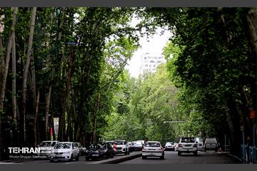 هوای بهاری تهران 23
