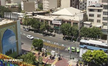 رفیوژ های همیشه سبز 23