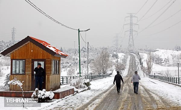 روز برفی پایتخت 20