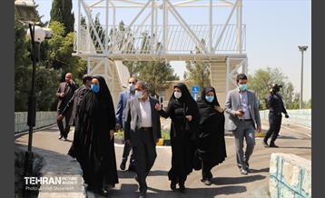 بازدید میدانی ناصر امانی از منطقه 7