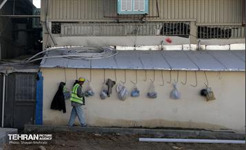 بازدید خبرنگاران از مجموعه تربیتی«یاور شهر ۹» 43