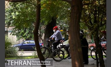 پویش سه شنبه های بدون خودرو 11