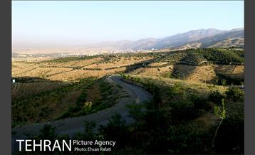 بازدید شهردار تهران از طرح‌های جنگل کاری شمال تهران  9