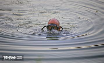 جشنواره بزرگ (تابستان اول) 3