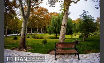 پاییز پارک شهر 23
