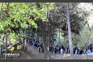 همایش‌ پیاده‌روی خانوادگی کارکنان شهرداری تهران 36