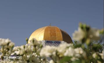 صدوهفتادوهشتمین پویش امید و افتخار 36