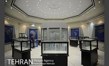 بازدید شهردار بلگراد از موزه طبیعت و حیات وحش دارآباد 12
