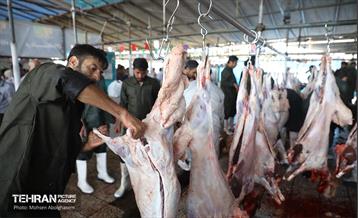 بازدید از مرکز عرضه بهداشتی دام ویژه عید قربان 23