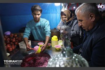 دوازدهمین جشنواره انار  8
