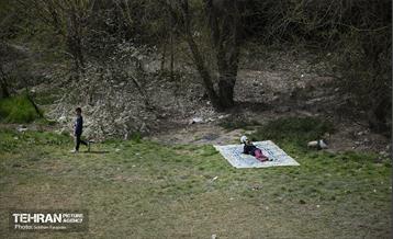 روز طبیعت در اراضى عباس آباد 8