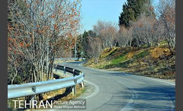 پارک جنگلی سرخه حصار 9