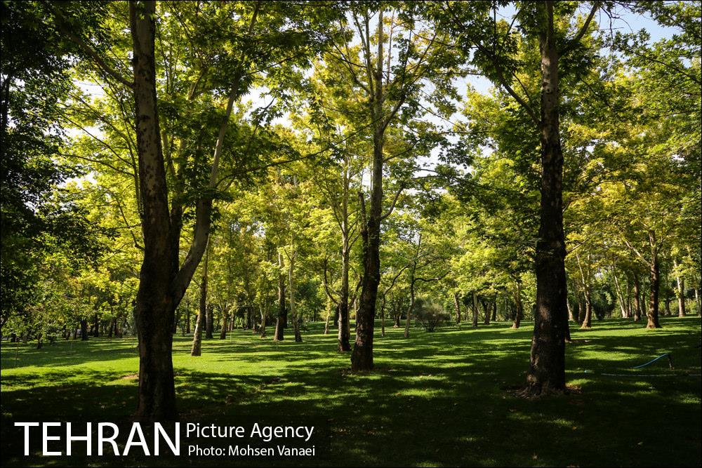 بوستان ملت 1