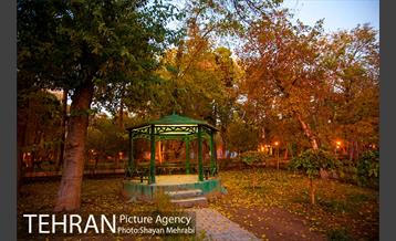 طبیعت پاییزی پارک شهر 14