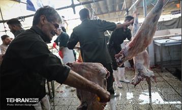 بازدید از مرکز عرضه بهداشتی دام ویژه عید قربان 26