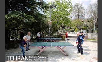 بوستان نیاوران در یک روز آفتابی 10