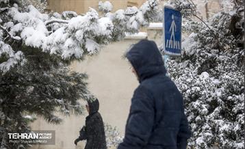 بارش برف زمستانی در تهران 6