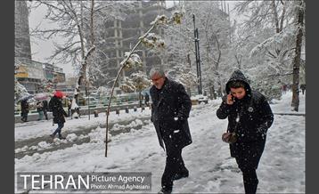 بارش اولین برف پاییزی در تهران 26
