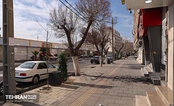 تور بازدید اصحاب رسانه از پروژه‌های شهرداری منطقه ۱۸ 22