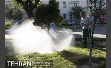 بوستان شقایق 14