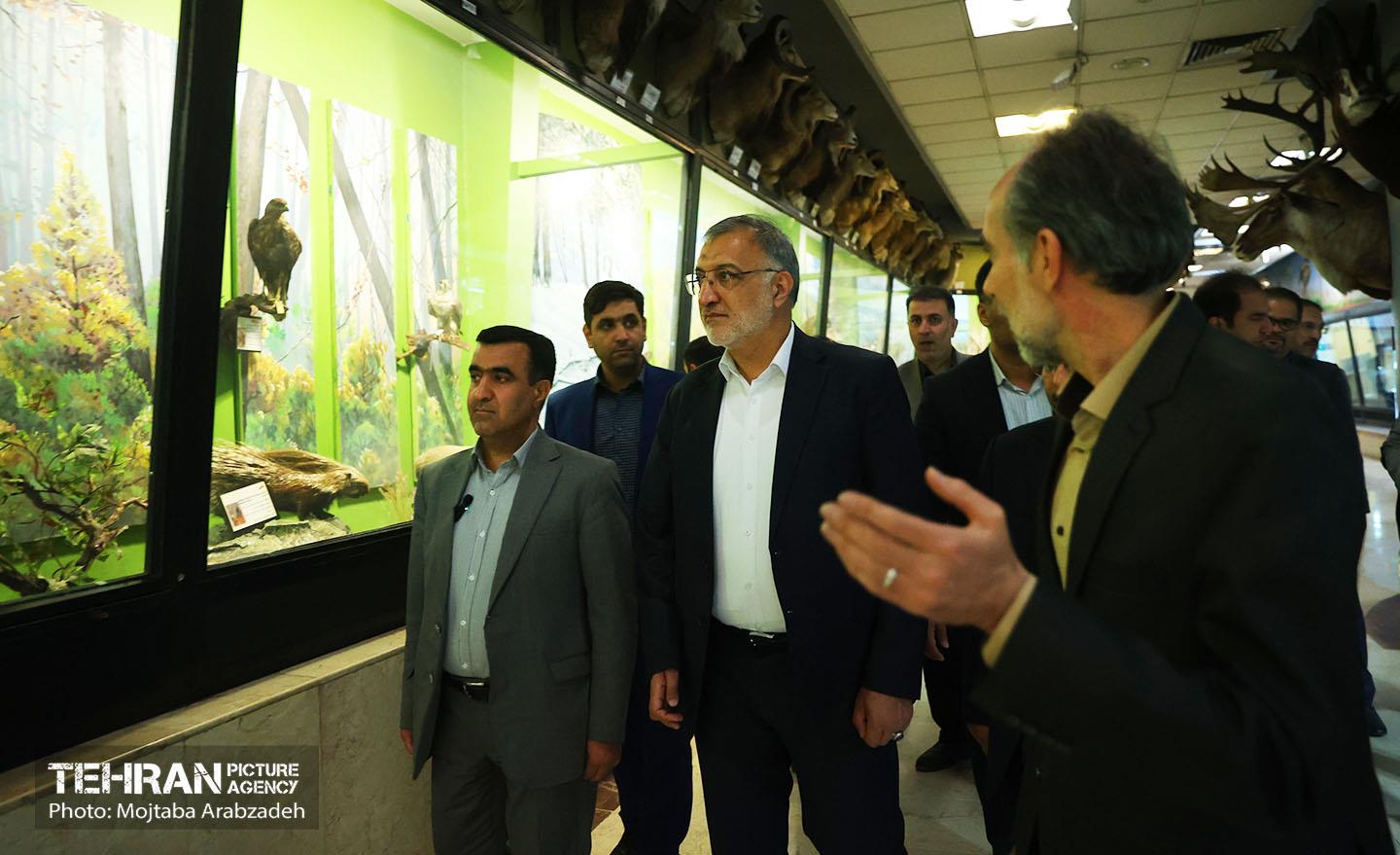 بازدید شهردار تهران از مجموعه پارک پردیسان 25