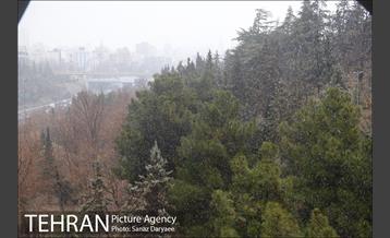 بارش باران در منطقه گردشگری عباس آباد 15