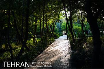 بوستان باغ ایرانی 38