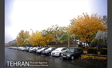 بارش برف پاییزی در بوستان طالقانی 2