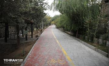 طبیعت پاییزی باغ راه فدک تهران 1