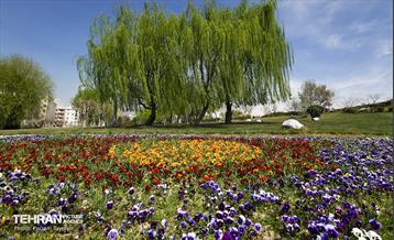 و اینک بهار 22