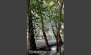 المان های نوروزی در خیابان ولی عصر(عج)  18