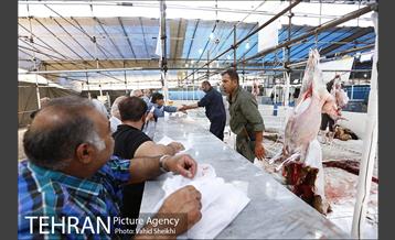 بازدید سعید راد از مراکز عرضه دام  26