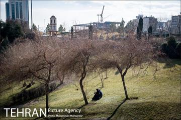 هوای پاک تهران 11