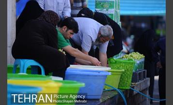 بازار میوه تربار مرکزی 14