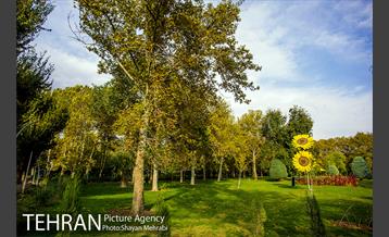 پاییز بوستان لاله 16