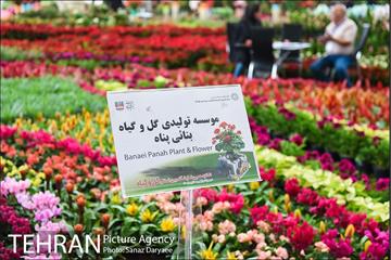 شانزدهمین نمایشگاه بین المللی گل و گیاه تهران 2