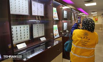 بازدید گروه های دوام مناطق از باغ گیاه شناسی ملی 2