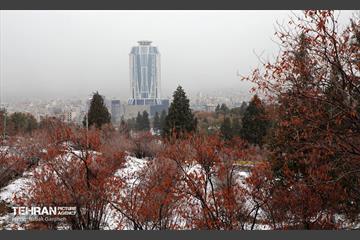 روز برفی در بوستان جنگلی سرخه‌حصار 3