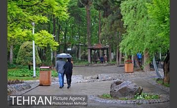 باران بهاری در تهران - 2 13