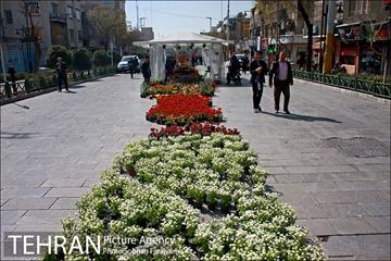 نمایشگاه گل و گیاه نوروزی در پیاده راه ۱۷ شهریور