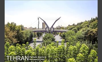 تنفس طبیعت زیبای منطقه ۷ در روزهای حضور کمرنگ شهروندان 19