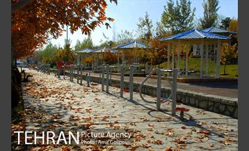 پاییز رنگارنگ بوستان جوانمردان ایران 38