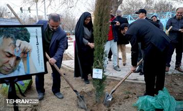 جشن درختکاری در منطقه 18 17