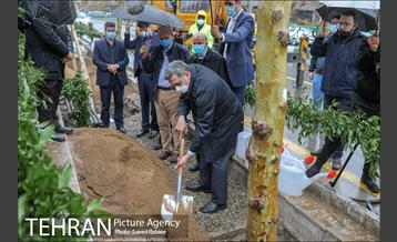 آئین کاشت درخت زندگی 18